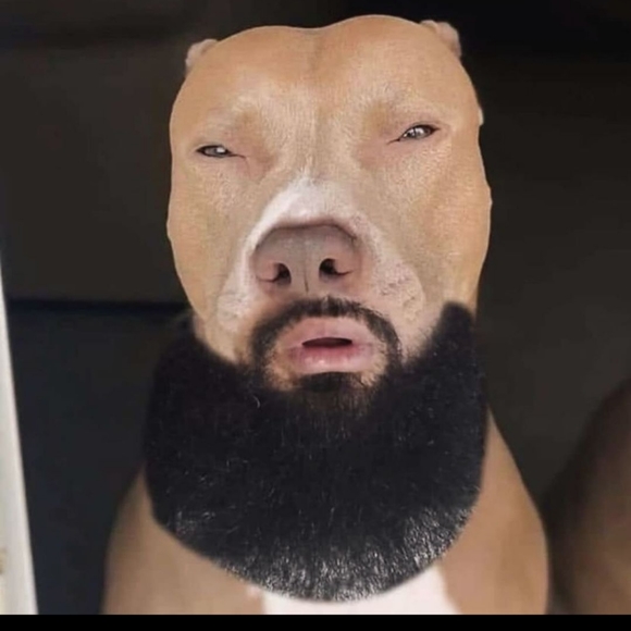 camrynkampf